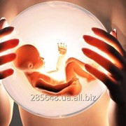 Требуются суррогатные мамы и доноры яйцеклеток фото
