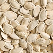 Гарбузове насіння Тыквенные семечки Pumpkin seeds фото