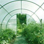Установка теплиц садовых из Поликарбоната фотография