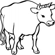 Премикс Витамит - дойная корова фото