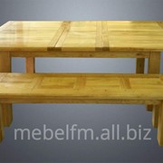 Комплект мебели (Стол + лавка) для сада или дачи фото