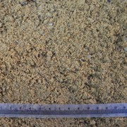 Песок желтый карьерный с различный содержанием глины