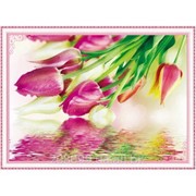 Набор для рисования стразами “Отражение тюльпанов“ Y6011 фото