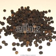 Перец черный фото