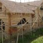 Строительство деревяных домов
