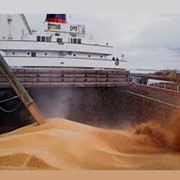 Перевалка зерновых грузов в порту Темрюк