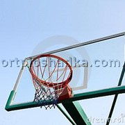 Корзина для баскетбольных мячей фотография