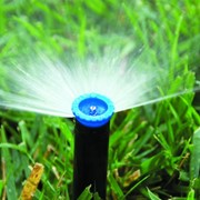 Системы капельного орошения для теплиц и парников. фото