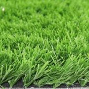 Искусственная трава, газон фото
