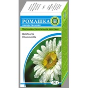 Ромашка Аптечная (ромашка Лекарственная) - Matricaria Chamomilla фото
