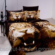 Комплект постельного белья ARYA Tiger cатин семейный 1000475