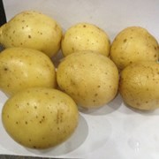 Картофель оптом в Красноярске. Доставка. фото