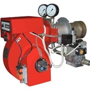 Горелки блочные газовые - ГБГ от 0,2 до 3,5 фото