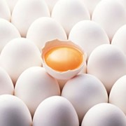 Яйцо куриное фото
