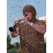 Пчелиный яд фото