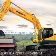 Аренда/Услуги Экскаватор Hyundai 260 1.5м3 фотография