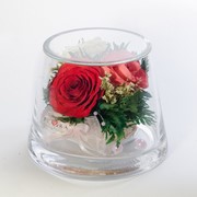 Розы 3-х оттенков tm FIORA TUCxs-Rprw-36798 фотография