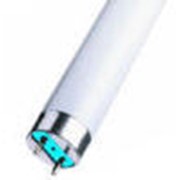 Люминесцентная трубчатая лампа Т5 Ø16 мм фото