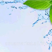 Вода минеральная AQUA green фото