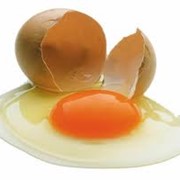 Яйцо куриное С1, С2, С0 фотография