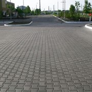 Тротуарная плитка , двойное Т (200x170x80)