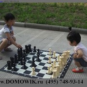 Подарочные шахматы, с виниловым полем, КШ-8 фото
