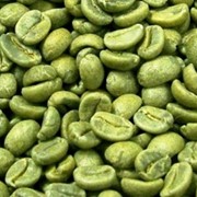 Кофе зеленый Arabica Costa Rica SHB San Vito 69 kg фото