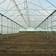 Каркасы теплиц фото