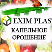 Капельный полив в теплице фото