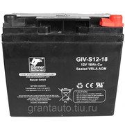 Аккумуляторная батарея BANNER GiV-S 12-18 Австрия 181x76x167 фото