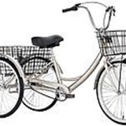 Велосипед трехколесный OMAKS OM-TR01-20-6 серебро колеса 24-20, 6 скоростей