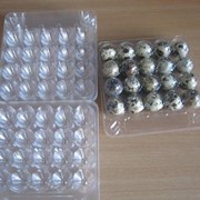 Упаковка лотки для перепелиных яиц фото