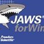 Freedom Scientific Обновление Jaws 9.0 на 14.0 + SMA арт. 4015