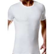 Футболка мужская Impetus - футболка Cotton Premium арт. 1389994 фото