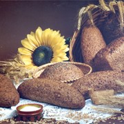 Живой хлеб из пророщенной пшеницы Довольство фото