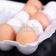 Яйца 1 сорт, отборные фотография