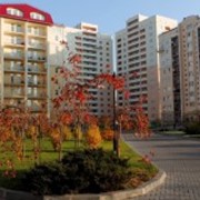Благоустройство территории вокруг дома фото