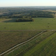 Земля сельскохозяйственного назначения в Московской области
