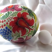 Яйца страусиные сувенирные расписные фото