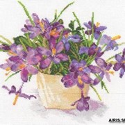 Набор для вышивания крестиком Алиса 2-26 “Цветущий сад: Крокусы“ 29см.*26см. фотография