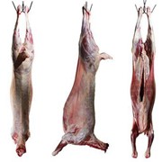 Баранина фото