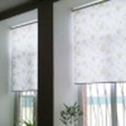 Рулонные шторы «MINI » фото