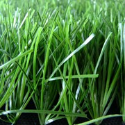 Искусственный газон 40-50 мм