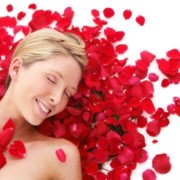 Лепестки роз фото