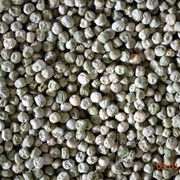 Горох зелений від виробника / Green Peas for export