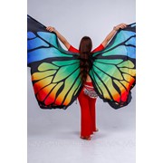 Крылья-бабочки фото