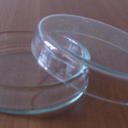Чашки выпарные сферические без носика круглодонные ЧВК-2-250 фото