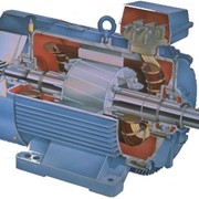 Ремонт электродвигателей ВСЕХ ТИПОВ до 250 кВт (в том числе постоянного тока и встроенных для холодильных компрессоров) фото