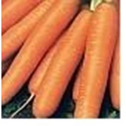 Семена моркови Нантик Резистафлай F1