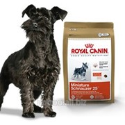 Сухой корм для собак Royal Canin Schnauzer 25 - 0,5 кг фотография